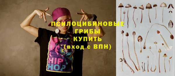 прущие грибы Армянск