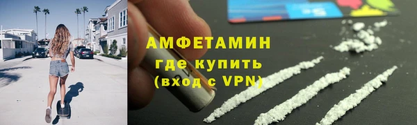 прущие грибы Армянск