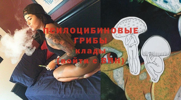 MESCALINE Аркадак