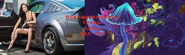 прущие грибы Армянск